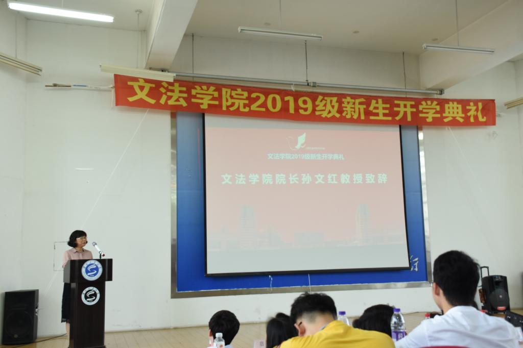 D20B D20B